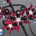IW  Avatar