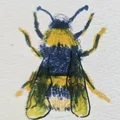 GR  Avatar
