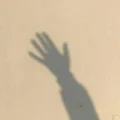 JC  Avatar