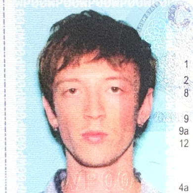 WP  Avatar