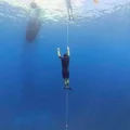 WW  Avatar