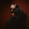 VP  Avatar