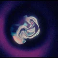 SS  Avatar