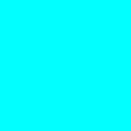 TL  Avatar