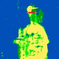 IP  Avatar