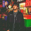 NN  Avatar