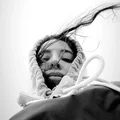 DT  Avatar