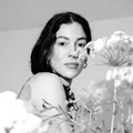 PH  Avatar