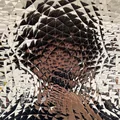 JF  Avatar