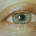 IE  Avatar