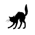 D  Avatar