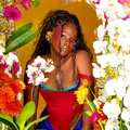 DB  Avatar