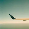 DL  Avatar