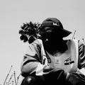 8  Avatar