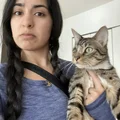 MS  Avatar