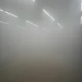 D  Avatar