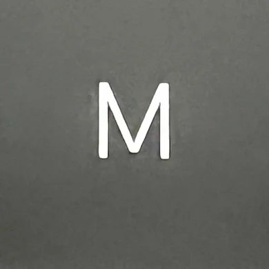 MV  Avatar