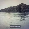 NP  Avatar
