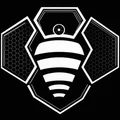 DM  Avatar