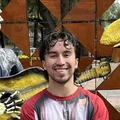 NA  Avatar
