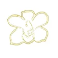 A  Avatar