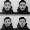 LP  Avatar