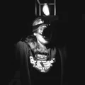 ZL  Avatar