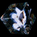 EF  Avatar