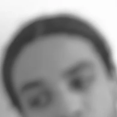 LS  Avatar