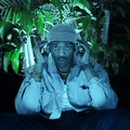 o  Avatar