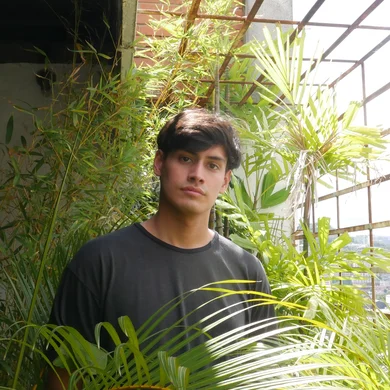 FG  Avatar