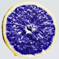 IC  Avatar