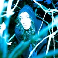 DZ  Avatar
