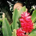 KC  Avatar