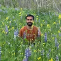 SM  Avatar