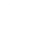 Z  Avatar