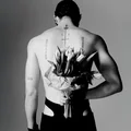 LP  Avatar