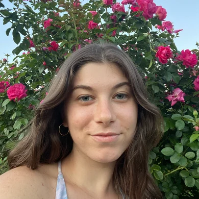 SF  Avatar