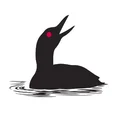 M  Avatar