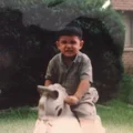 Y  Avatar