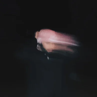 SS  Avatar