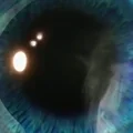 DP  Avatar