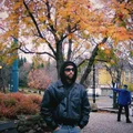 HN  Avatar