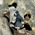 RC  Avatar