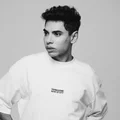 LP  Avatar