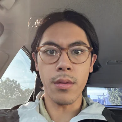 CV  Avatar