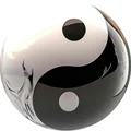5  Avatar