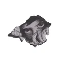 LM  Avatar