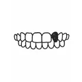 SD  Avatar