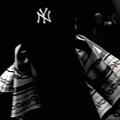NT  Avatar